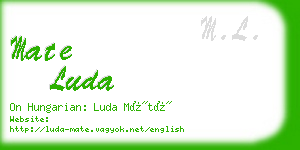 mate luda business card